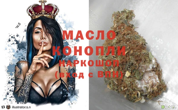 тгк Каменка