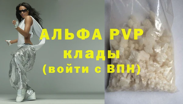 тгк Каменка