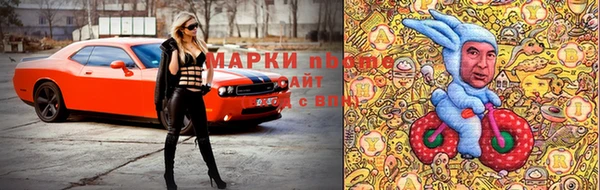 твердый Каменногорск