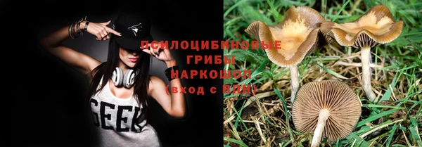 тгк Каменка