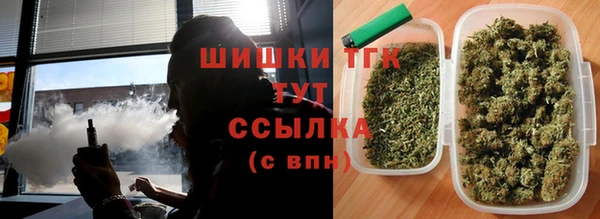твердый Каменногорск
