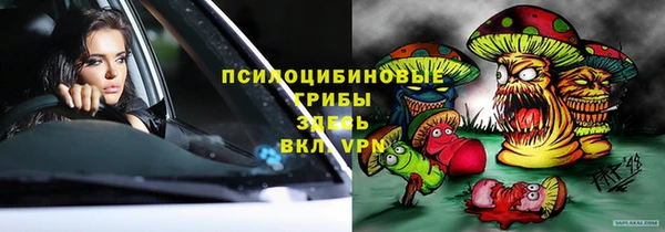 тгк Каменка
