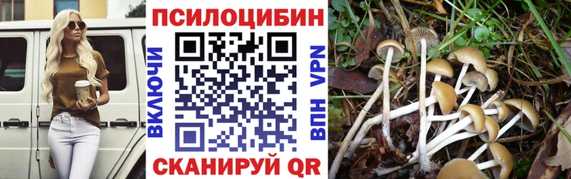 Псилоцибиновые грибы MAGIC MUSHROOMS  Соль-Илецк 