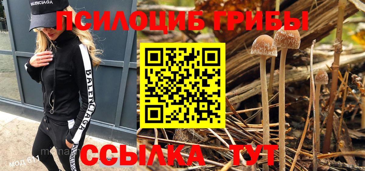Галлюциногенные грибы GOLDEN TEACHER  Вход с VPN  Соль-Илецк 